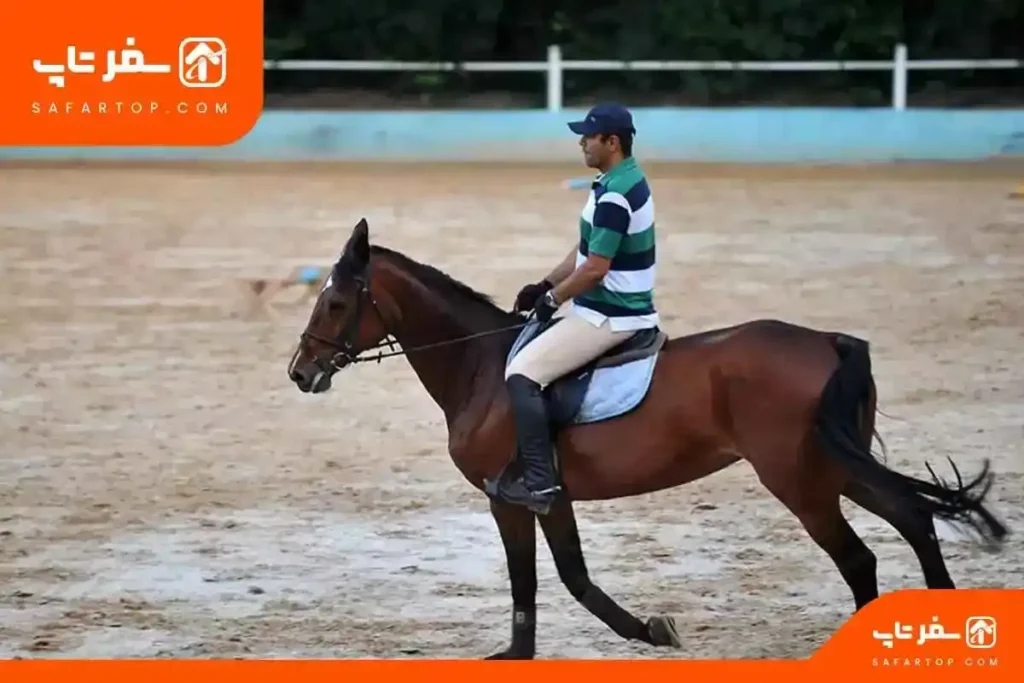 جاهای دیدنی مشهد، باشگاه سوارکاری ارشاد مشهد