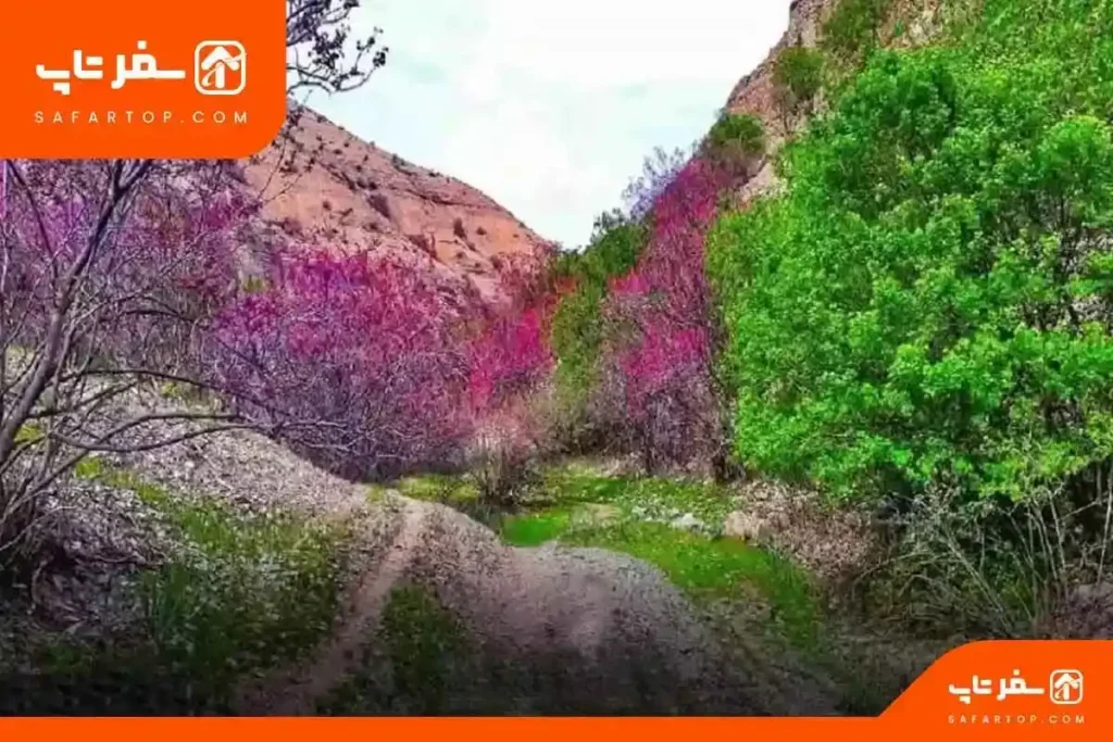 جاهای دیدنی مشهد، دره ارغوان مشهد