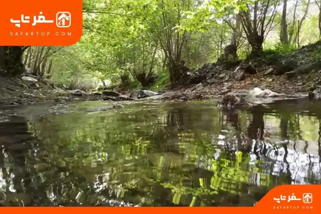 جاهای دیدنی مشهد، جنگل جیغ مشهد