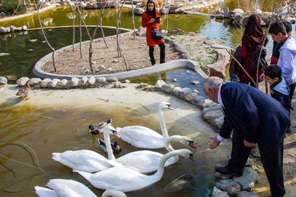 باغ پرندگان شیراز