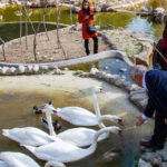 باغ پرندگان شیراز
