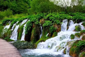 جاهای دیدنی شیراز در بهار