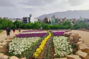 باغ گل شیراز