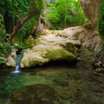 بهشت گمشده شیراز