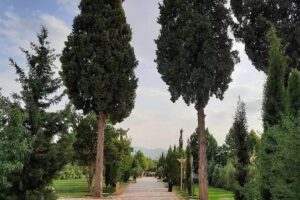 پارک بعثت شیراز