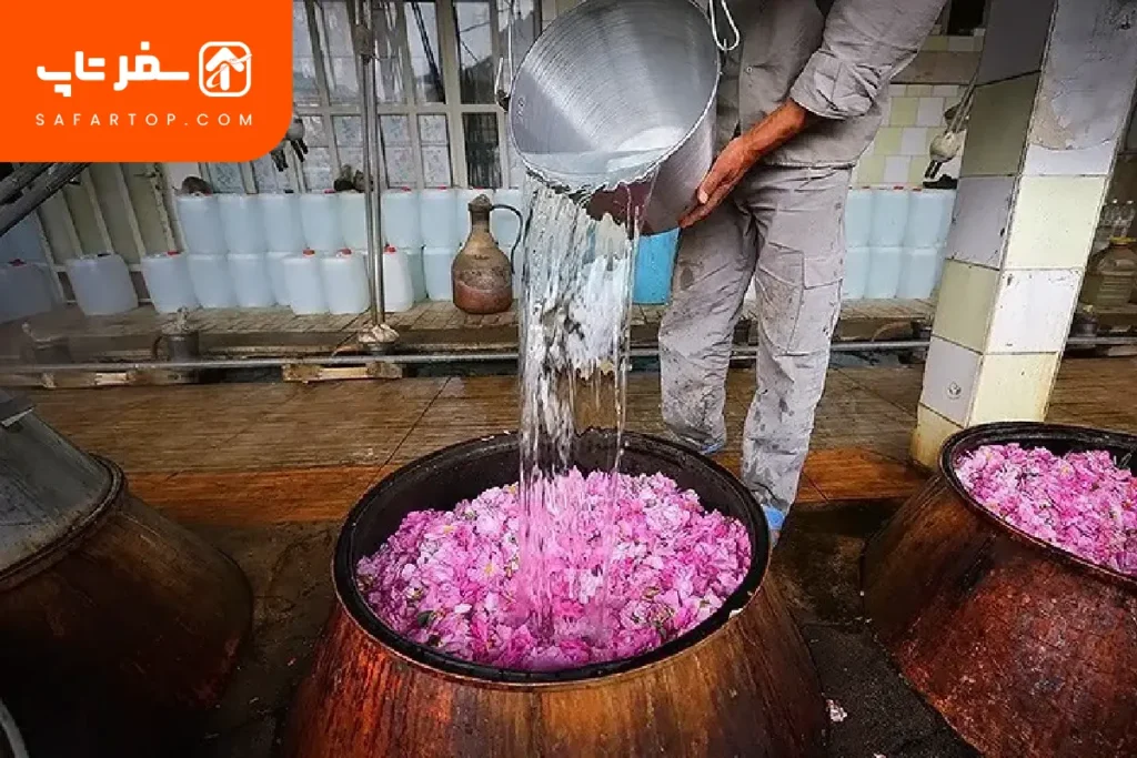 مراسم گلاب گیری