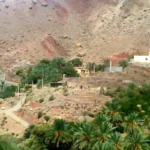 ایسین و تازیان بندرعباس