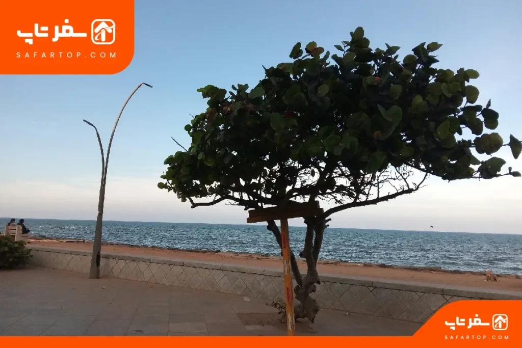 پارک ساحلی آفتاب