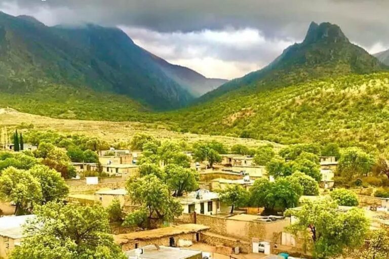 کوهمره سرخی