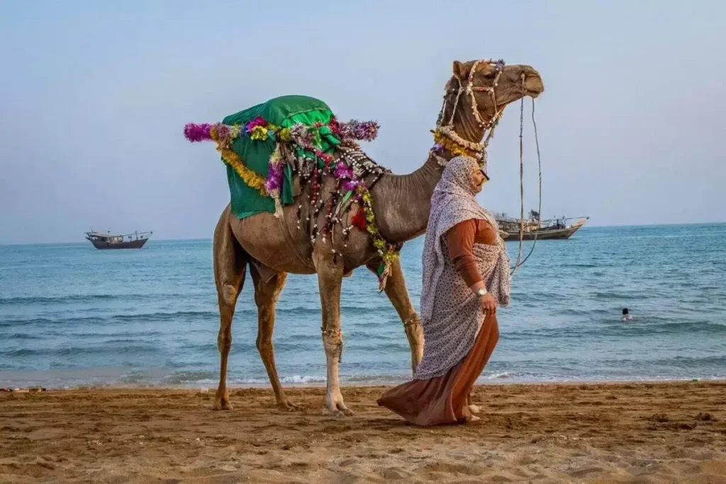 جزایر ناز قشم