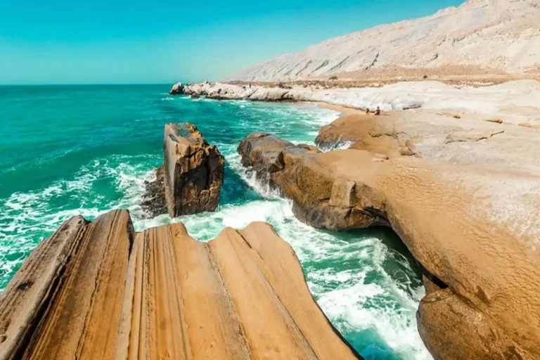 راهنگای کامل سفر به هنگام