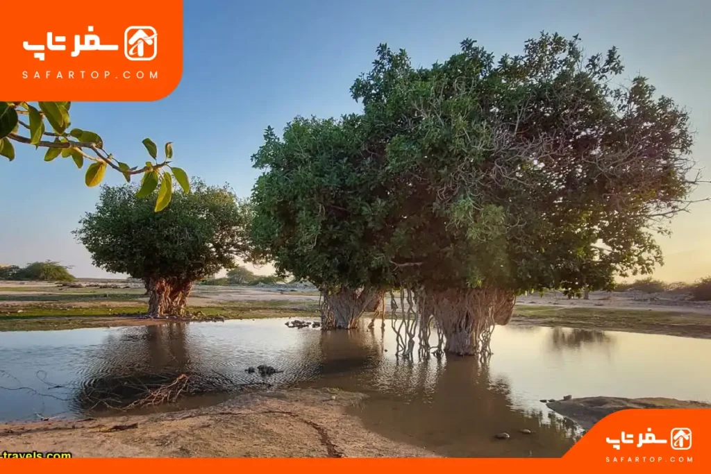 راهنمای کامل سفر به جزیره لاوان، جاهای دیدنی و بهترین زمان