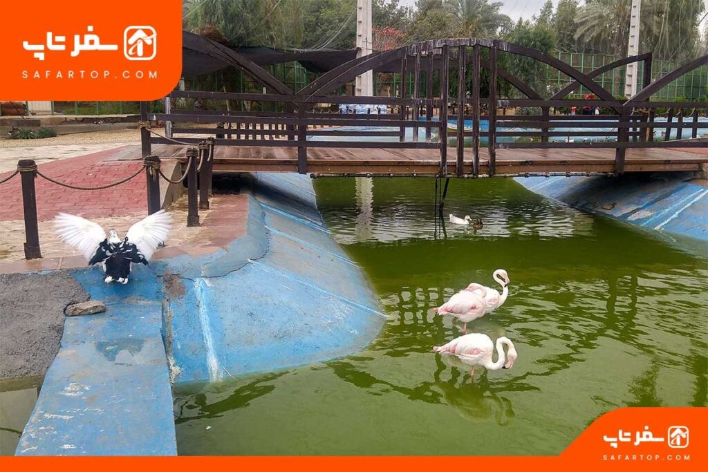 باغ پرندگان بندرعباس