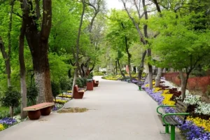 همه چیز درباره پارک قیطریه تهران