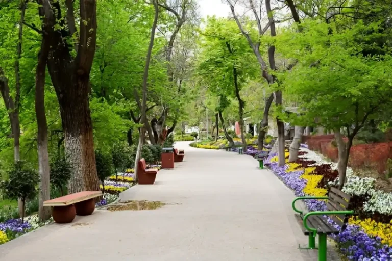 همه چیز درباره پارک قیطریه تهران