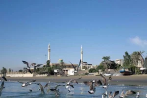 پارک ساحلی سورو
