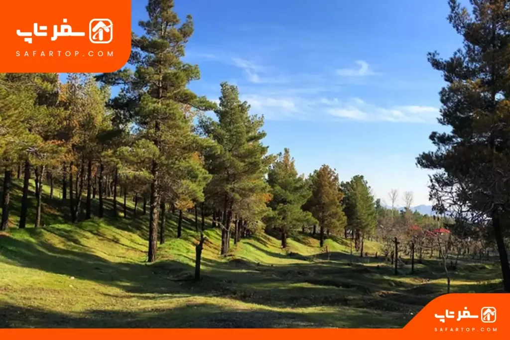 مکان های تفریحی تهران برای خانواده، پارک جنگلی لویزان