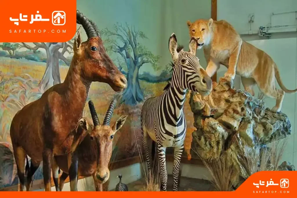مکان های تفریحی تهران برای خانواده، موزه حیات وحش