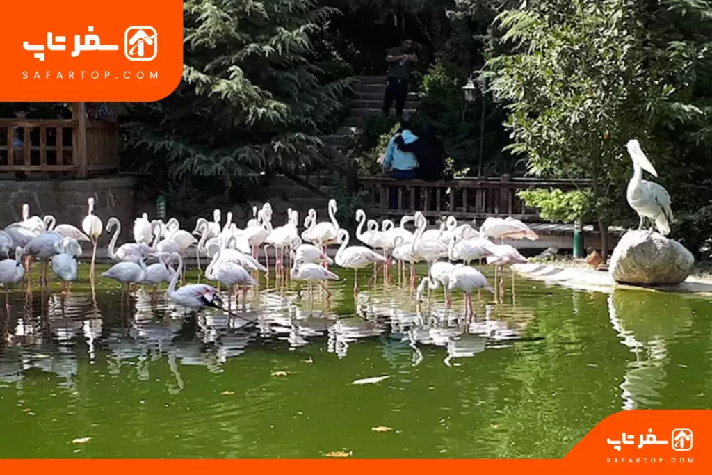 مکان های تفریحی تهران برای خانواده، باغ پرندگان تهران