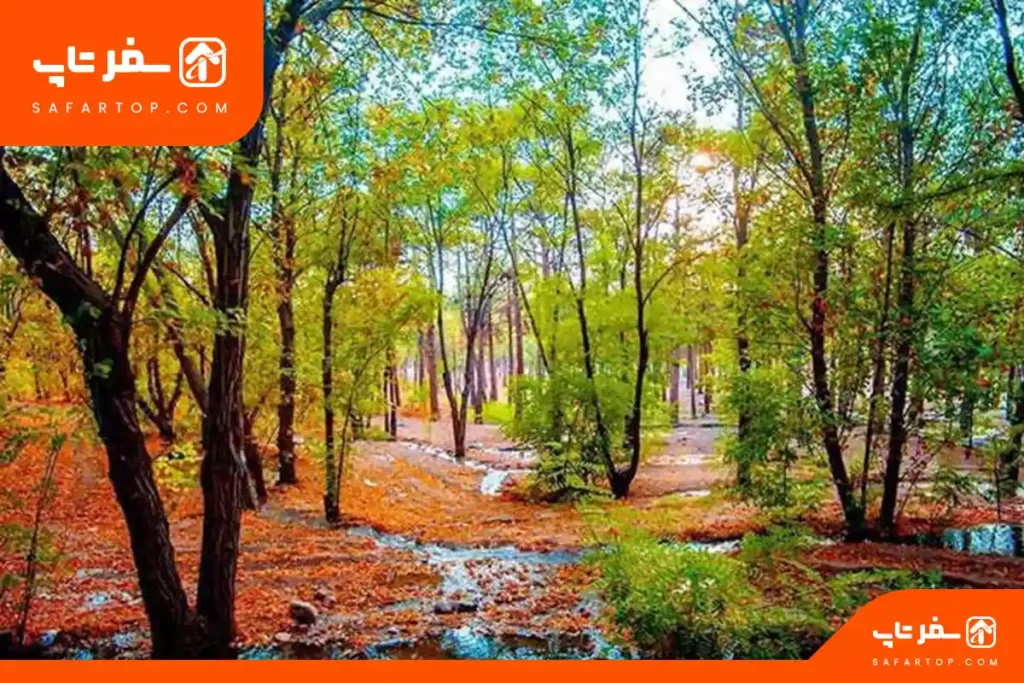 مکان های تفریحی تهران برای خانواده، پارک جنگلی چیتگر