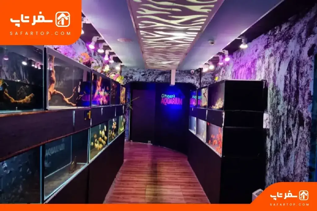 _6 پارک شهرآکواریوم