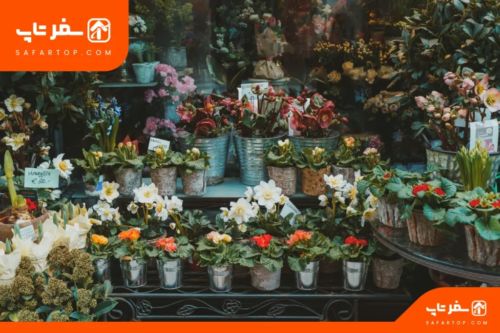 بازار گل‌های تهران، مقصدی برای حال خوب