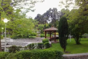 پارک ساعی تهران