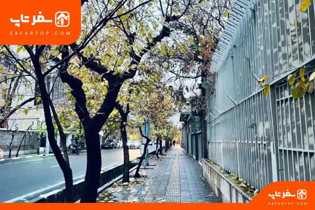 چطور-به-نوفلوشاتو-برویم؟ کافه های نوفللوشاتو، چطور بریم