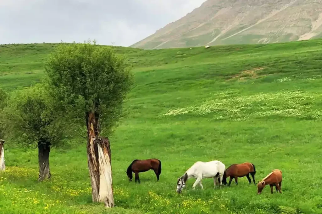 روستاهای اطراف تهران