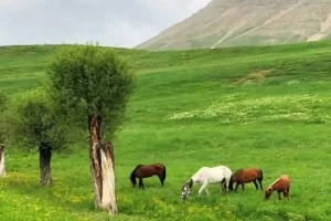 روستاهای اطراف تهران