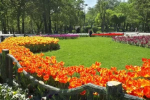 پارک‌های تهران