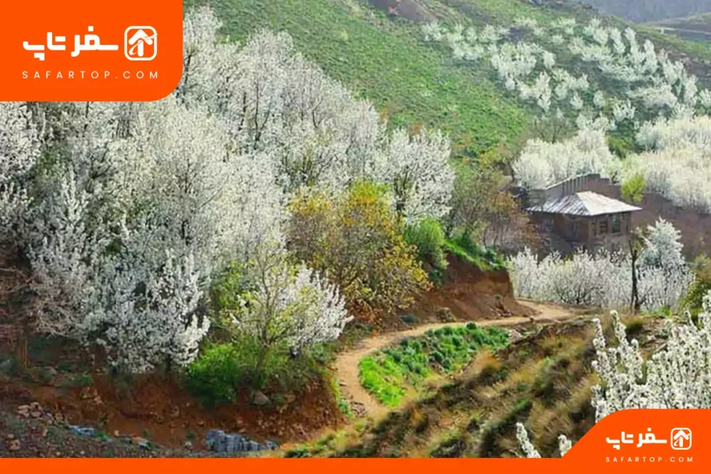 روستای سنگان