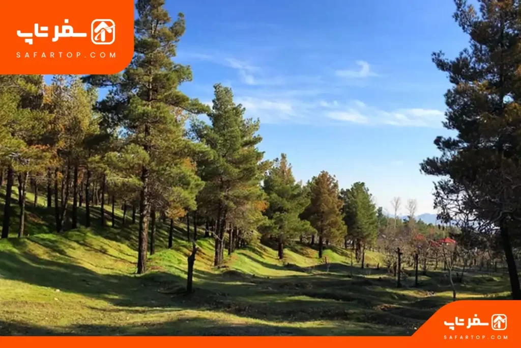 پارک شیان تهران