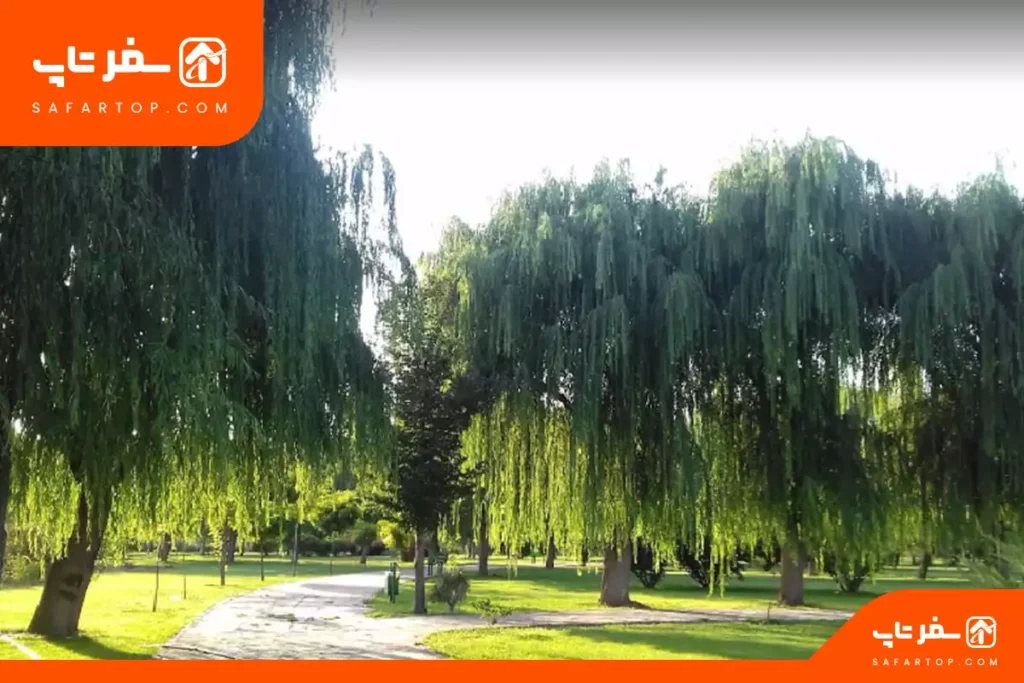 پارک آزادگان