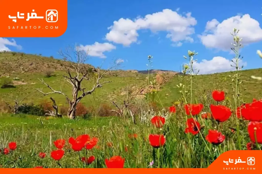 پارک ملی خجیر