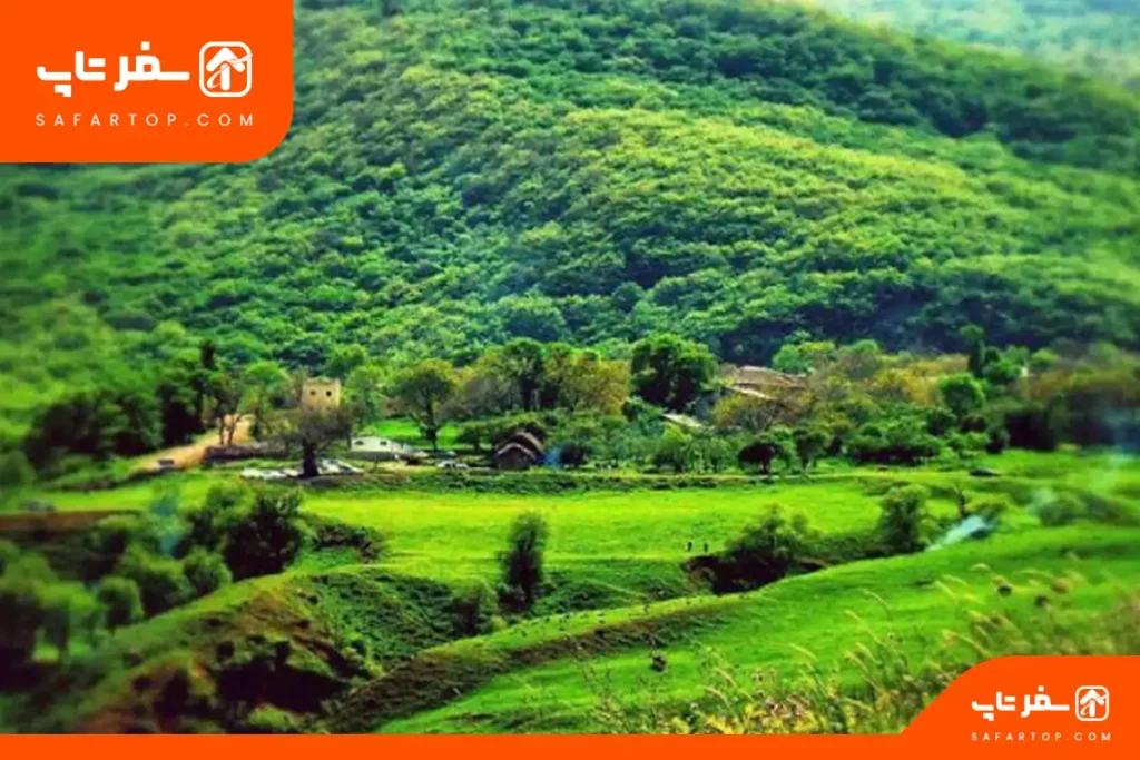 روستای افجه