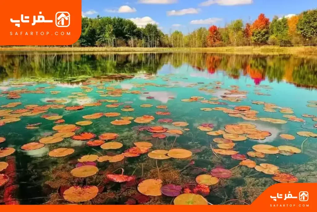 تالاب انزلی