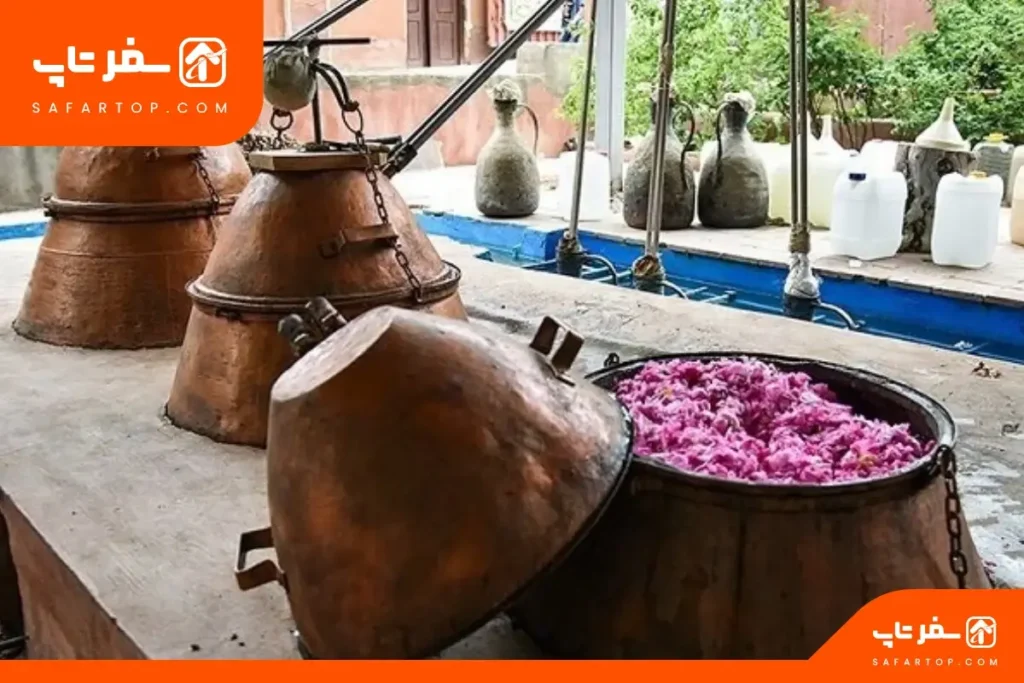 جشنواره گلاب گیری