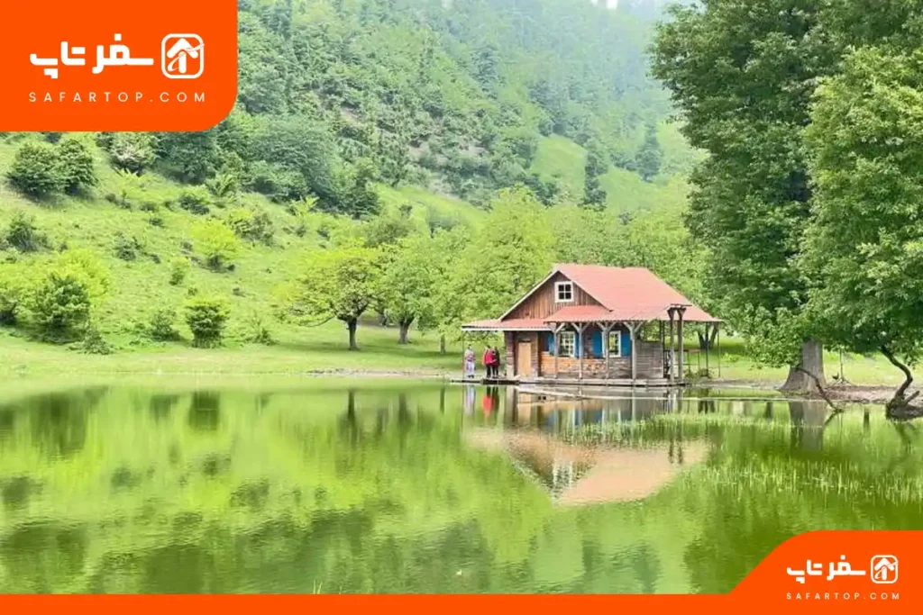 جنگل نقله بر