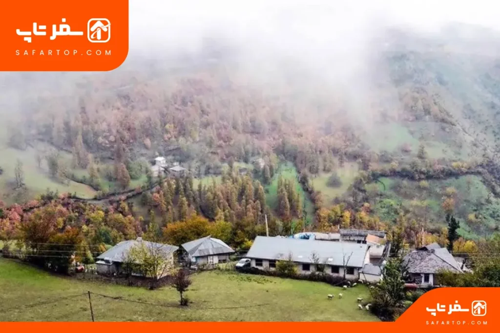 مسیر دسترسی به جنگل نقله بر