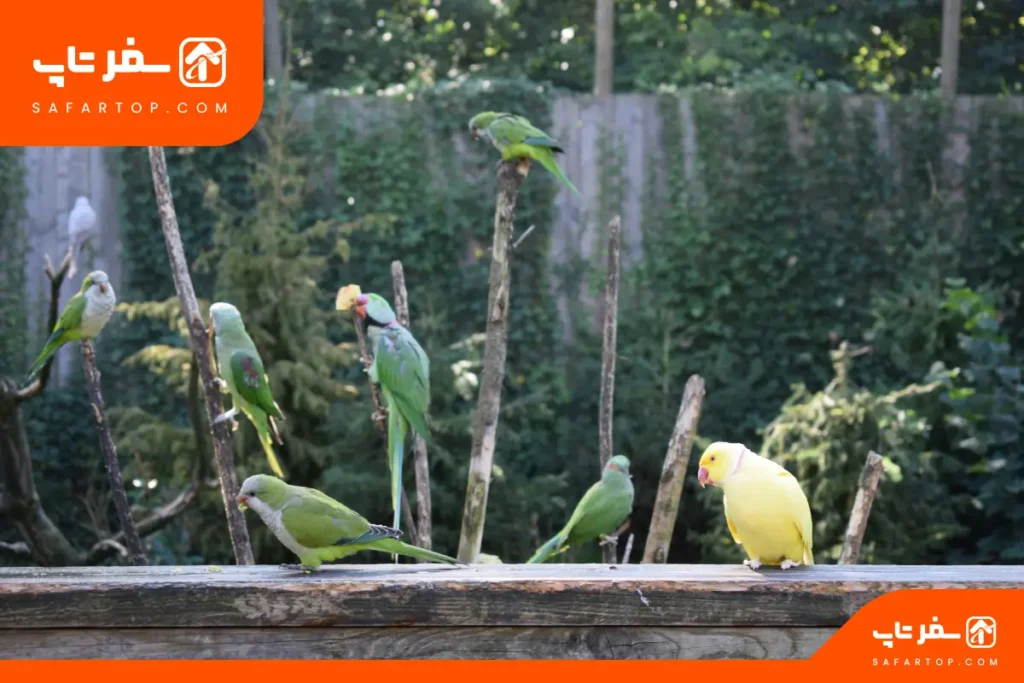 پارک جنگلی خجیر