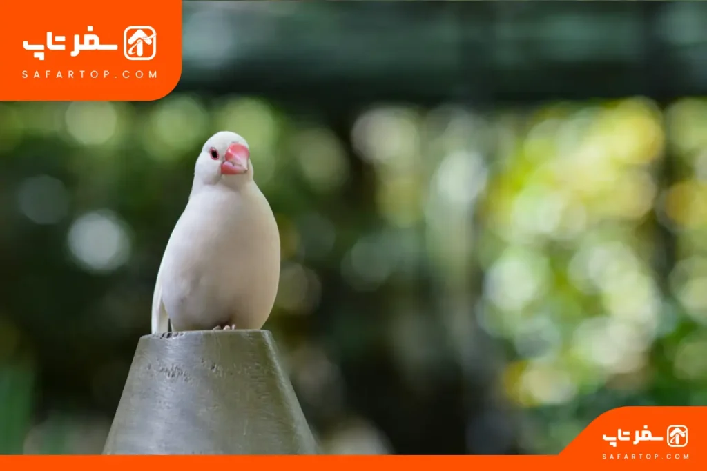 پارک های جنگلی تهران