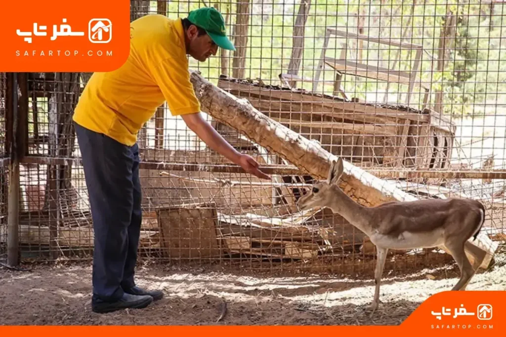 مرکز بازپروری و نجات حیوانات پردیسان