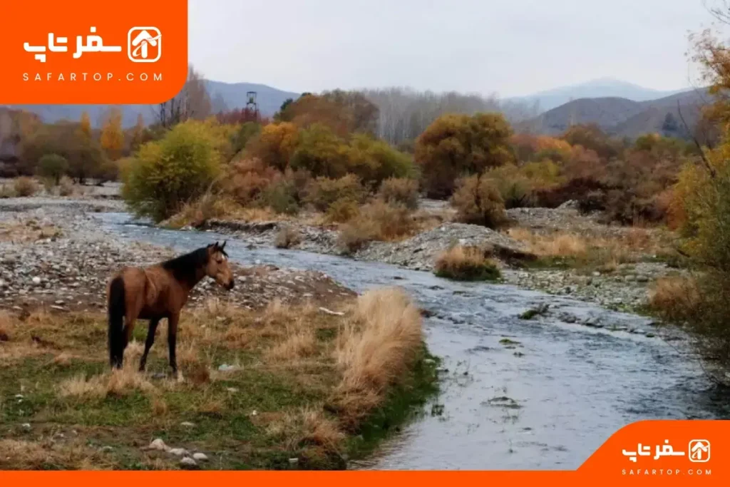 تاریخچه پارک ملی خجیر