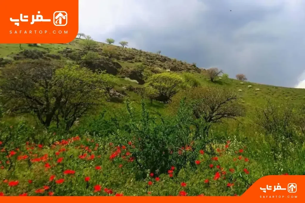 جاهای دیدنی پارک ملی خجیر