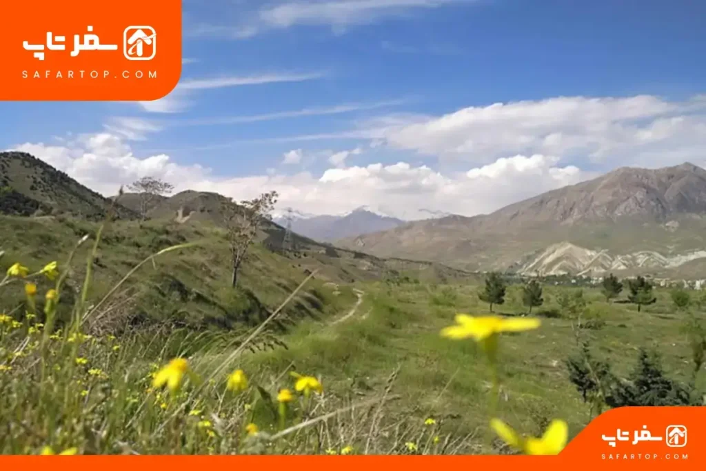 گیاهان پارک ملی خجیر