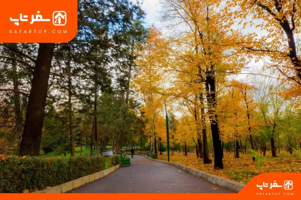 پارک شهر