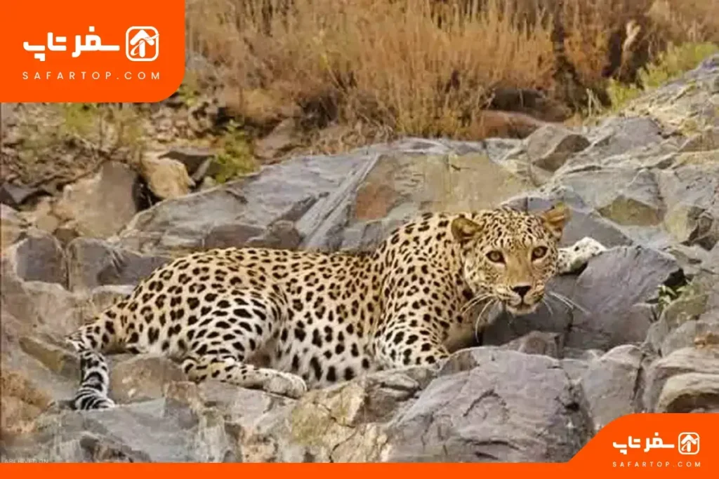 بهترین فصل برای دیدن پارک ملی خجیر