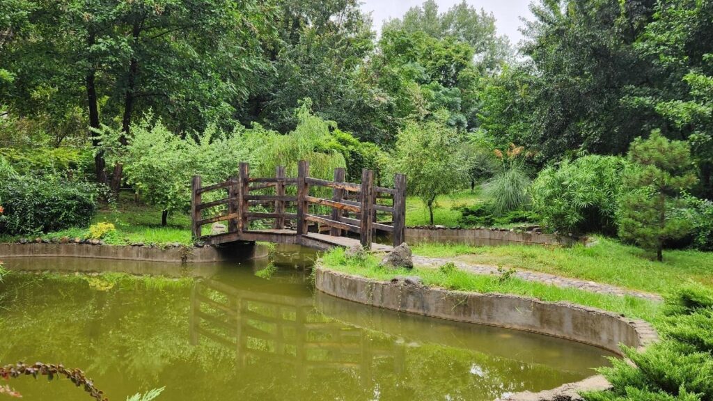 پارک مفاخر رشت