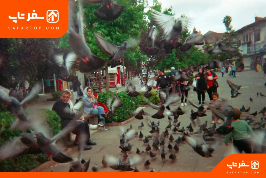 مکانهای لاکچری رشت